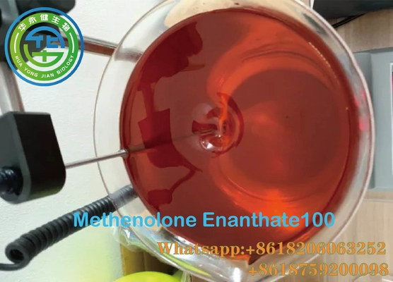 Primobolan 100 المنشطات الآمنة القائمة على الزيت ميثينولون إينونثات 100 ملغ / مل مضادات الإستروجين كمال الأجسام كاس 303-42-4