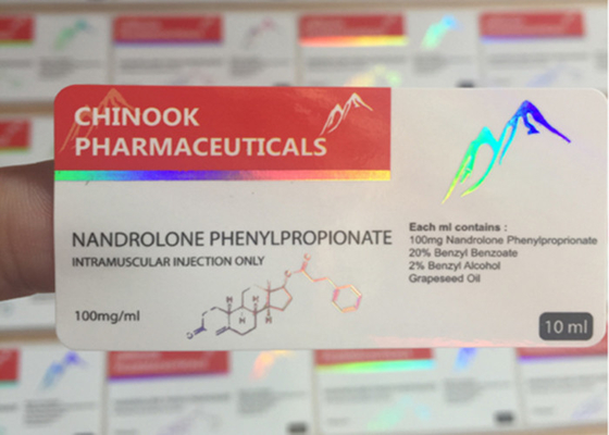 ورقة لاصقة مجسم مخصص ملصقات 6 X 3 سم مع جولة ركن