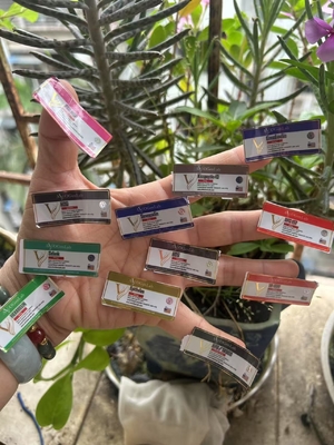 2 مل ملعقة العلبة لبعض منتجات الببتيدات مع طباعة الذهب المستديرة